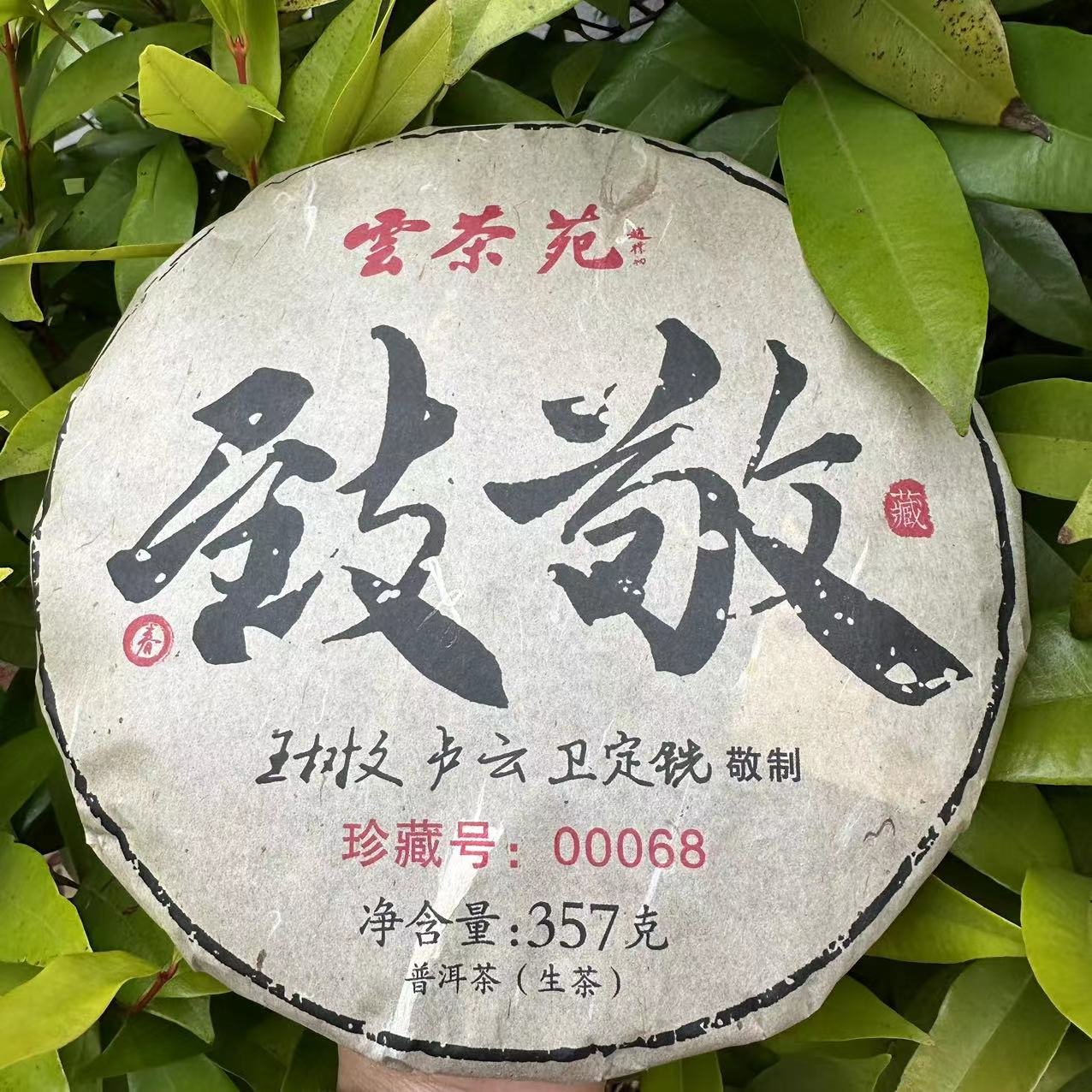 莎莎的茶    雲茶苑致敬古树普洱茶357g/饼 生茶