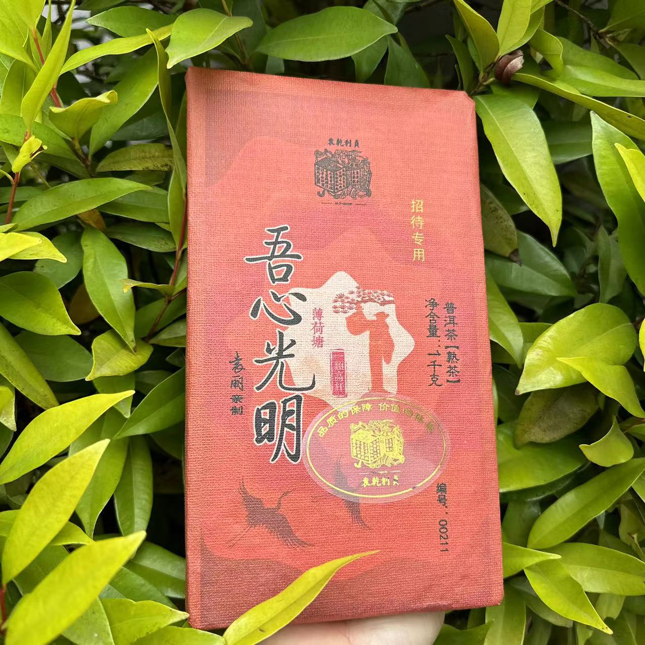 莎莎的茶  YQLZ吾心光明YL亲制薄荷塘古树普洱茶1000g/砖 熟普