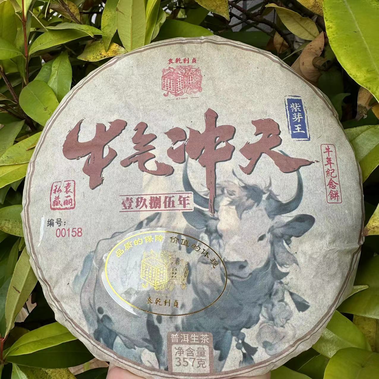 莎莎的茶 YQLZ1985年牛气冲天牛年纪念饼紫芽王普洱茶357g/饼生茶