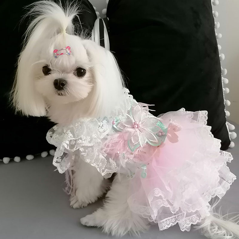 六瓣花春秋薄款狗狗衣服泰迪衣服宠物比熊夏天春夏季小型犬裙子