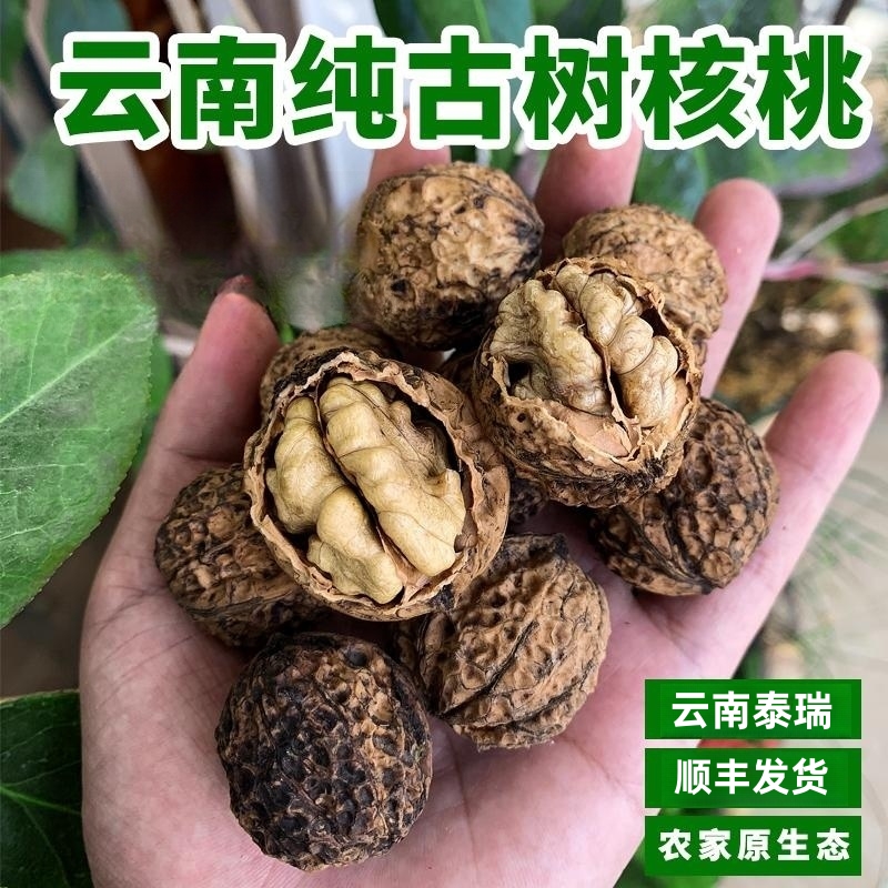 云南特产山核桃薄皮核桃纸核桃农家核桃营养健康养生食品