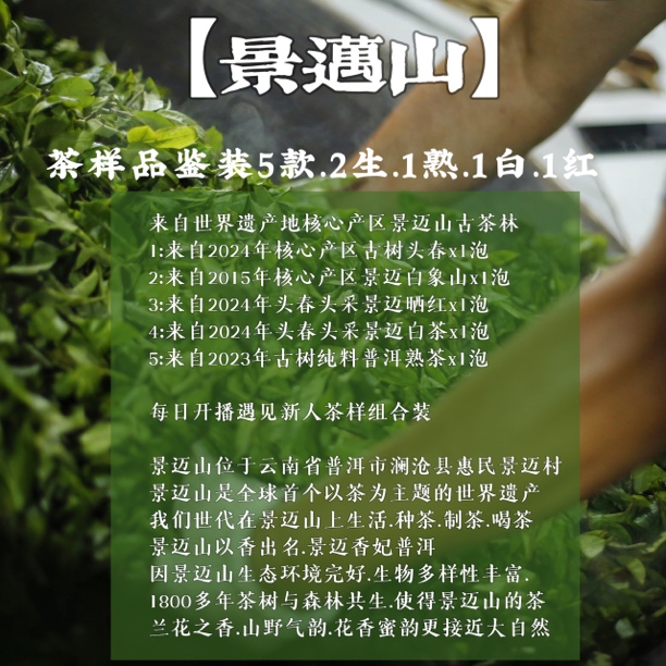 来自世界茶文化遗产地景迈山高端茶样品鉴装8gx5款