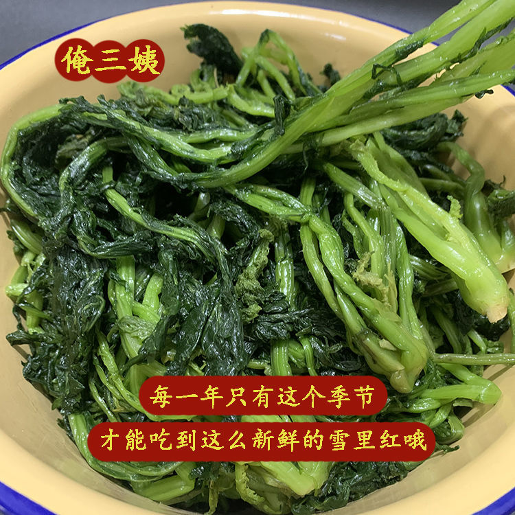 鲜雪里红新鲜腌制邳州新沂特产徐州小吃今年新腌