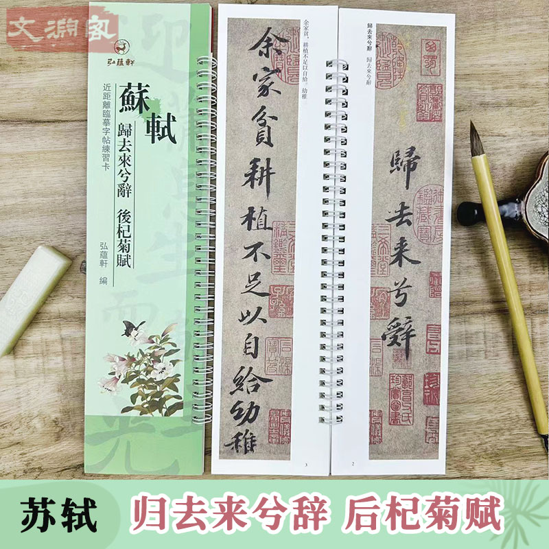 苏轼归去来兮辞 后杞菊赋 近距离临摹字卡行书法初学入门毛笔字帖