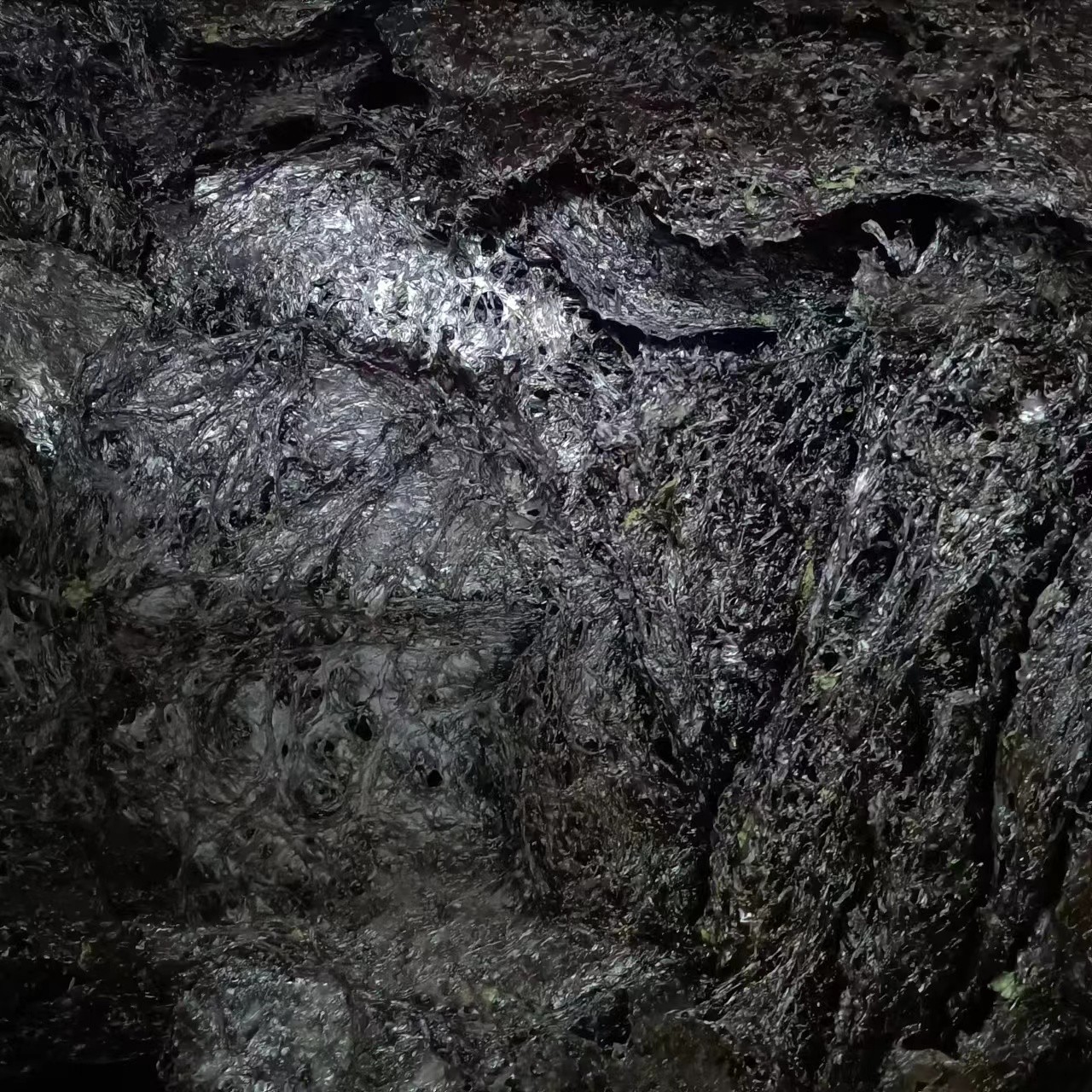 2025新头水紫菜无沙免洗紫菜尝鲜款干货 