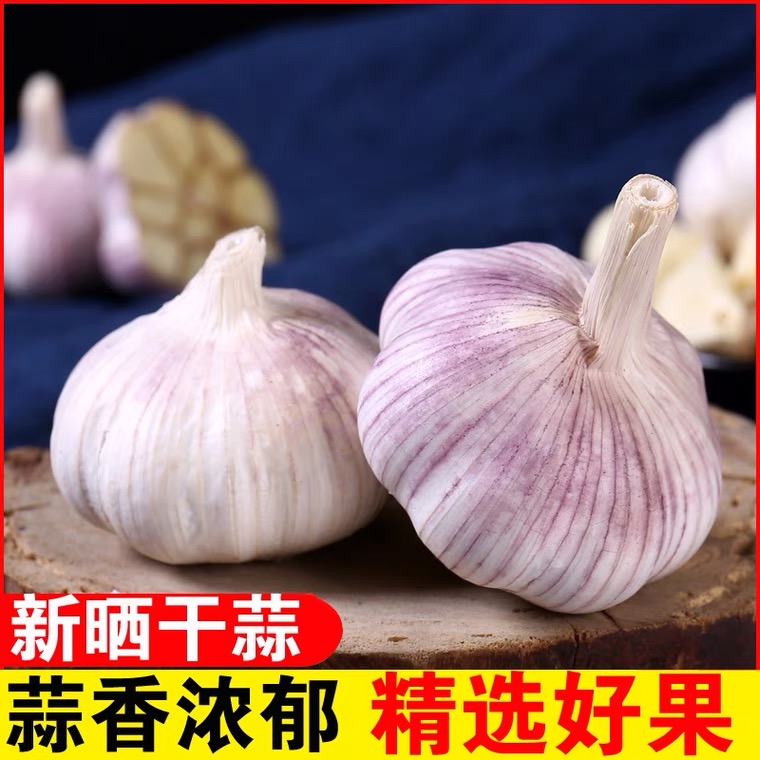 山东紫皮大蒜头批发新干蒜大蒜头干蒜产地直销脆爽健康新鲜营养
