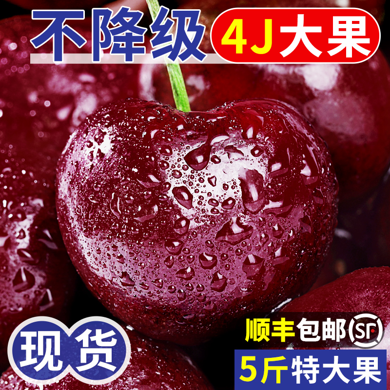 【5斤礼盒装】智利车厘子4j进口新鲜水果大樱桃整箱礼盒装 顺丰空运