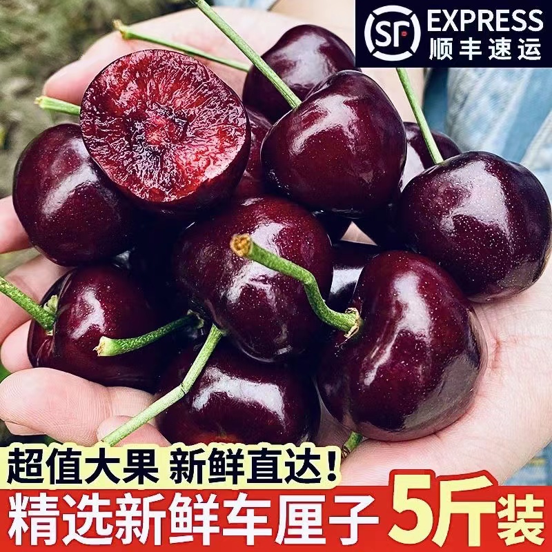 【顺丰包赔】智利车厘子大果桑提娜特大号5斤水果一整箱发礼盒装