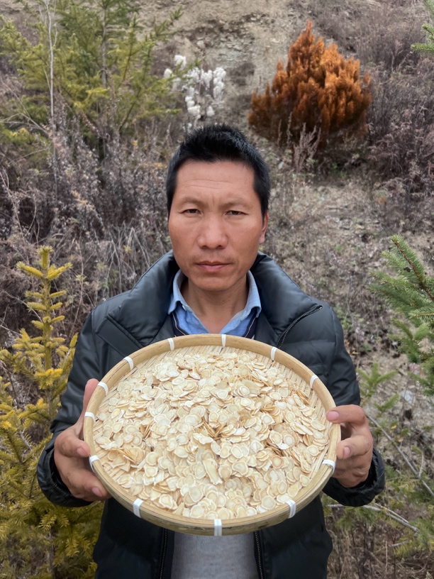 西洋参精选片足龄主根切片