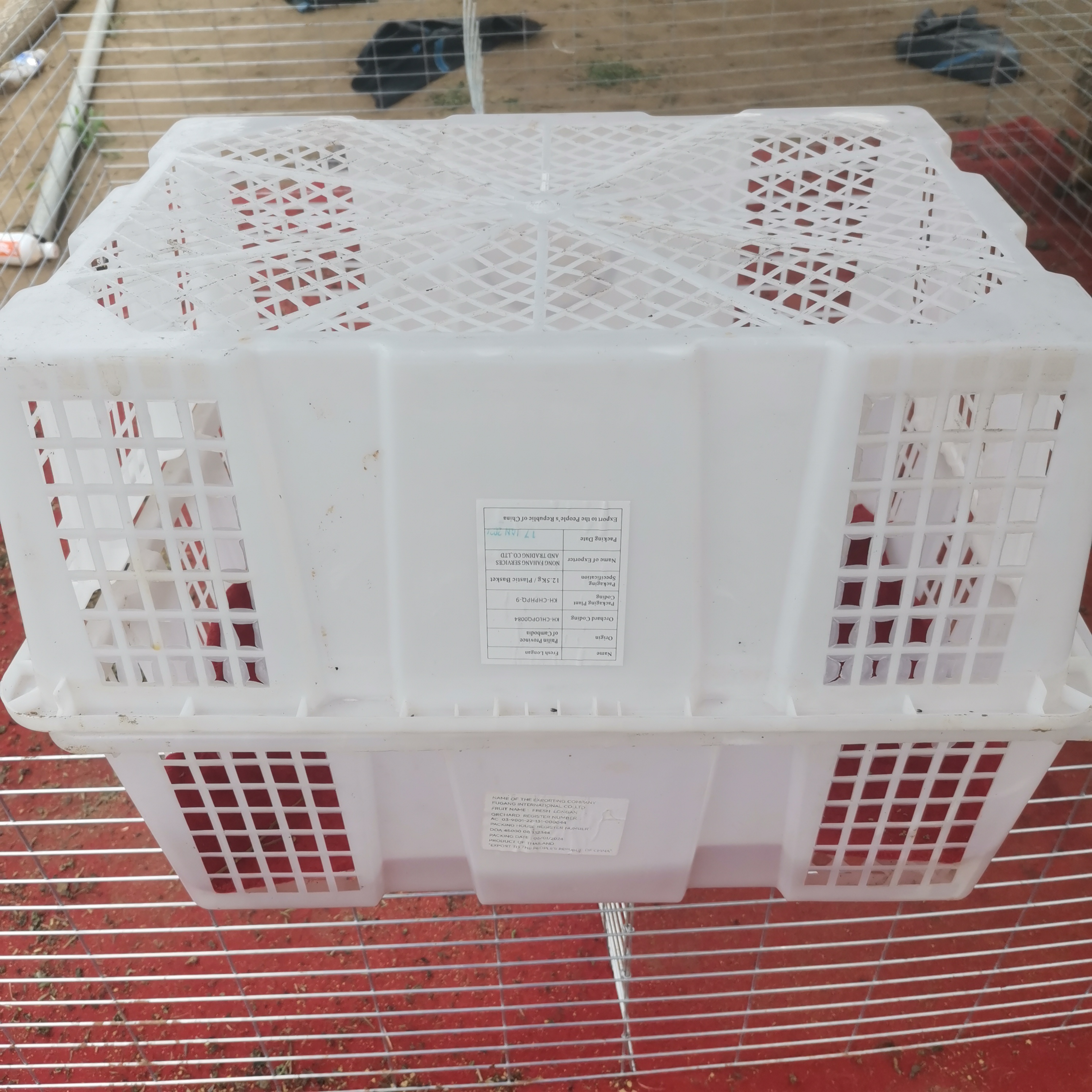 18天鸵鸟 专用打包框