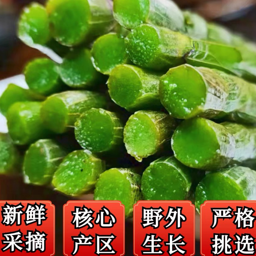 信楓堂铁皮石斛鲜条500g露天种植包邮到家