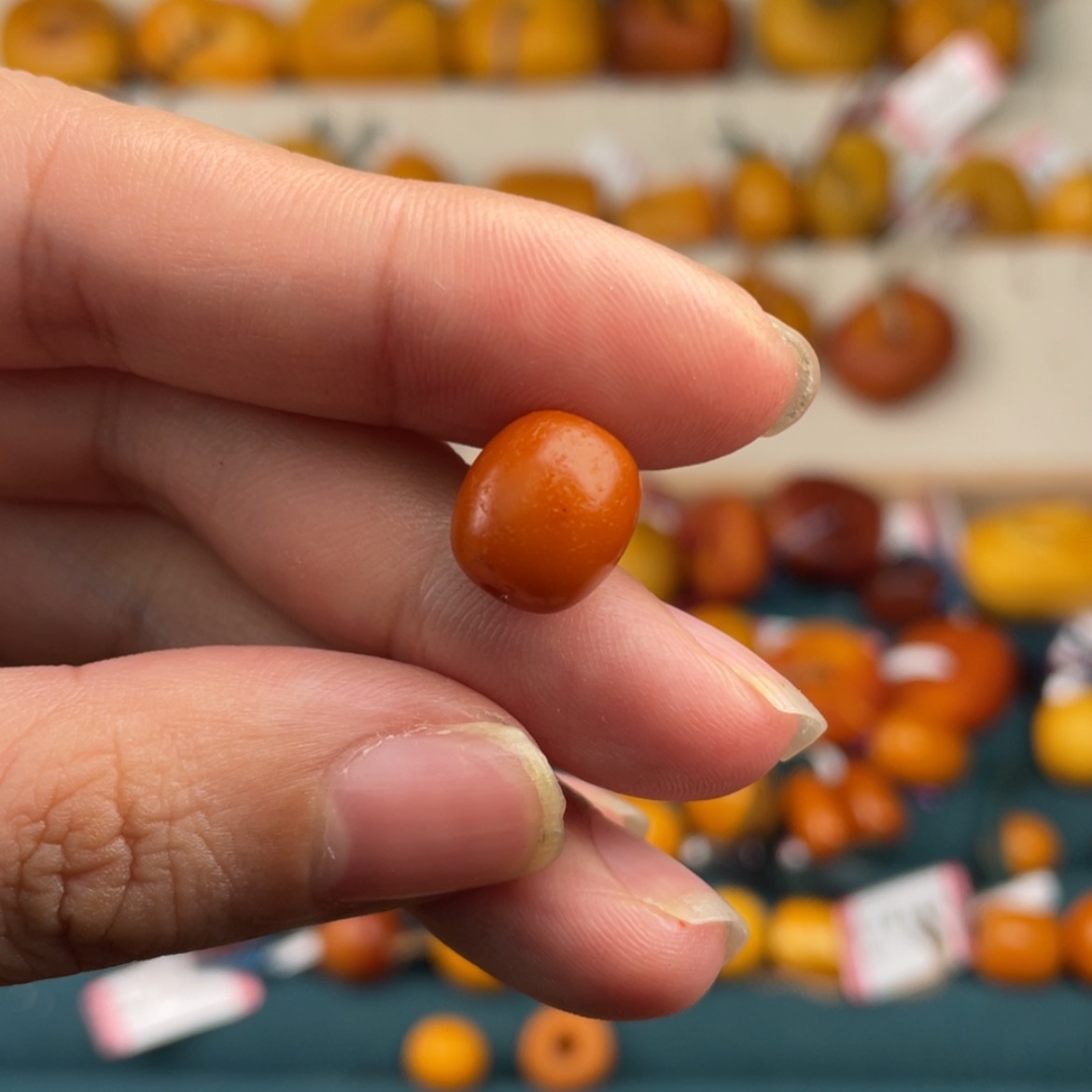 【闪购商品】琥珀颈饰未镶嵌萌****馆