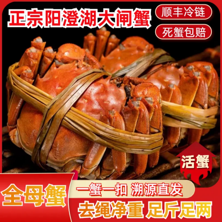 【阳澄湖大闸蟹】现货大闸蟹全母活塘蟹阳澄湖镇3.0两10只礼品盒装
