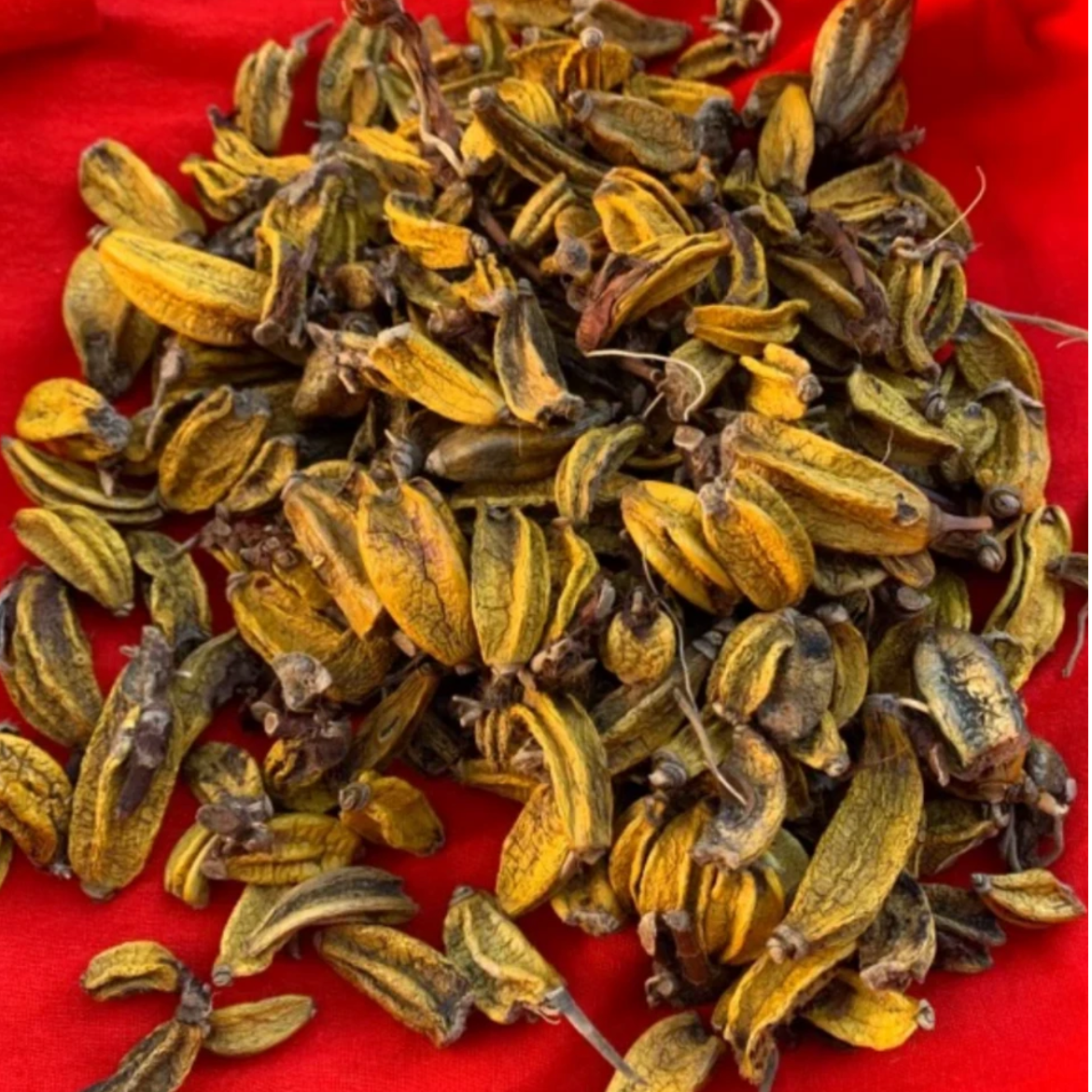 （月1）初级农产品【玉·枢·丹】100g 250g 可搭配枸杞使用