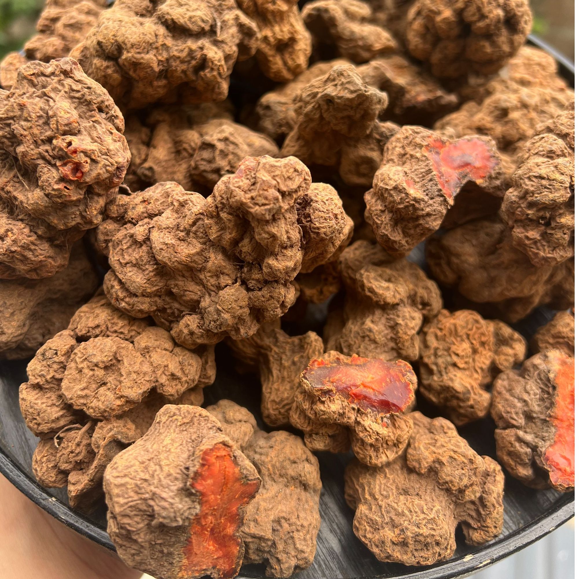 （月）初级农产品【桖·菩·提】250g/ 500g可搭配枸杞使用