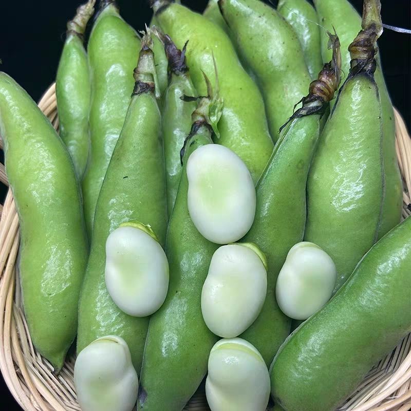 云南高原露天蚕豆5斤现摘现发（外壳发黑不影响属自然氧化）