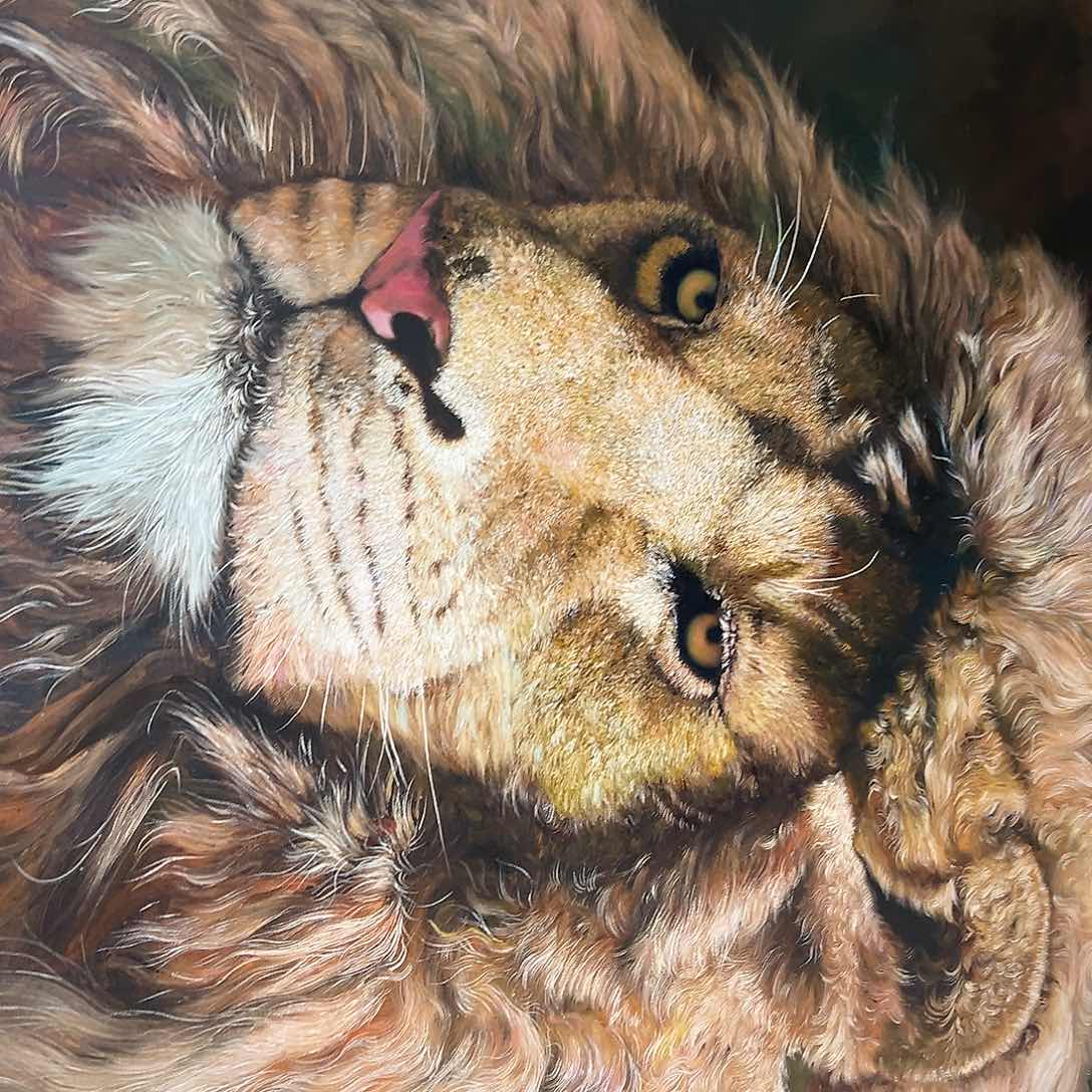 绘画y p y p p zpwpwpw