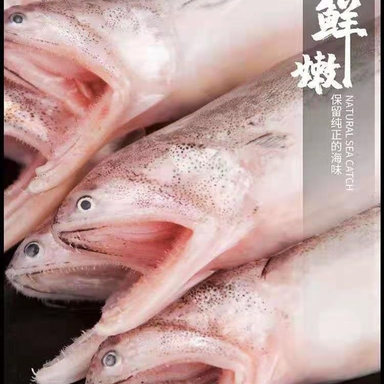 新鲜豆腐鱼拍3斤发5斤，拍5斤发10斤速冻龙头鱼水潺鱼连云港发货