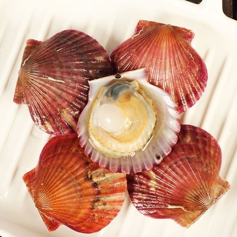 鲜活小红码头直发拍2发4顺丰冷链给您包邮到家