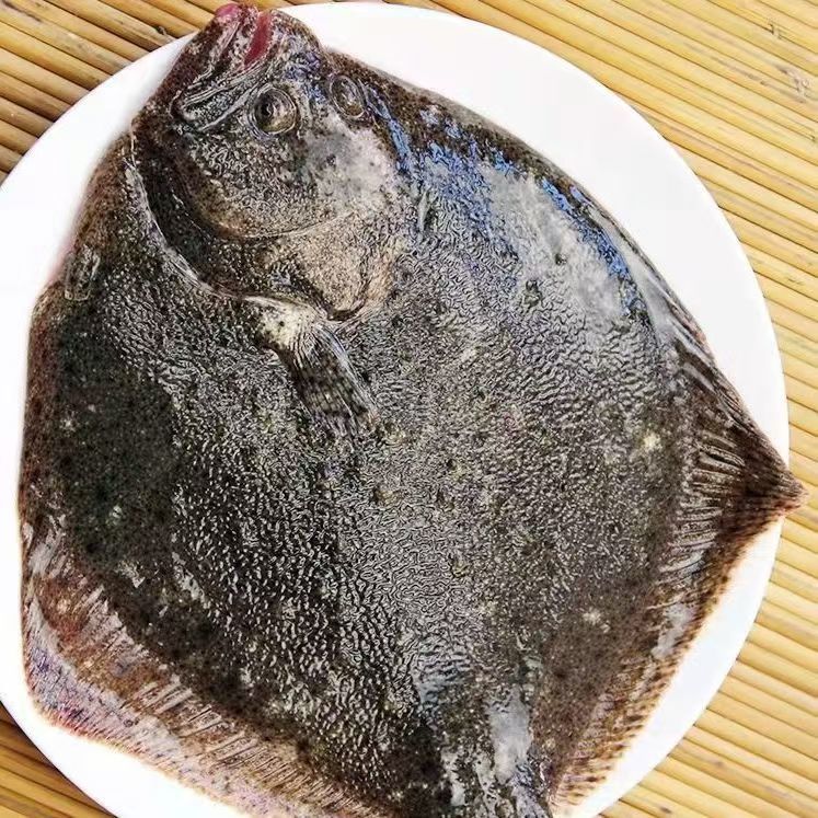 新鲜多宝鱼海鲜比目鱼大菱鲆鸦片鱼批发鲜活冷冻野生水产鱼头深海