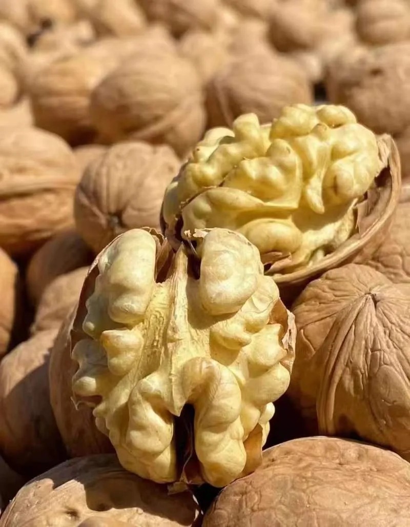 【市场直发】纸皮核桃草本味1斤装（一捏即碎，爆香爽脆）