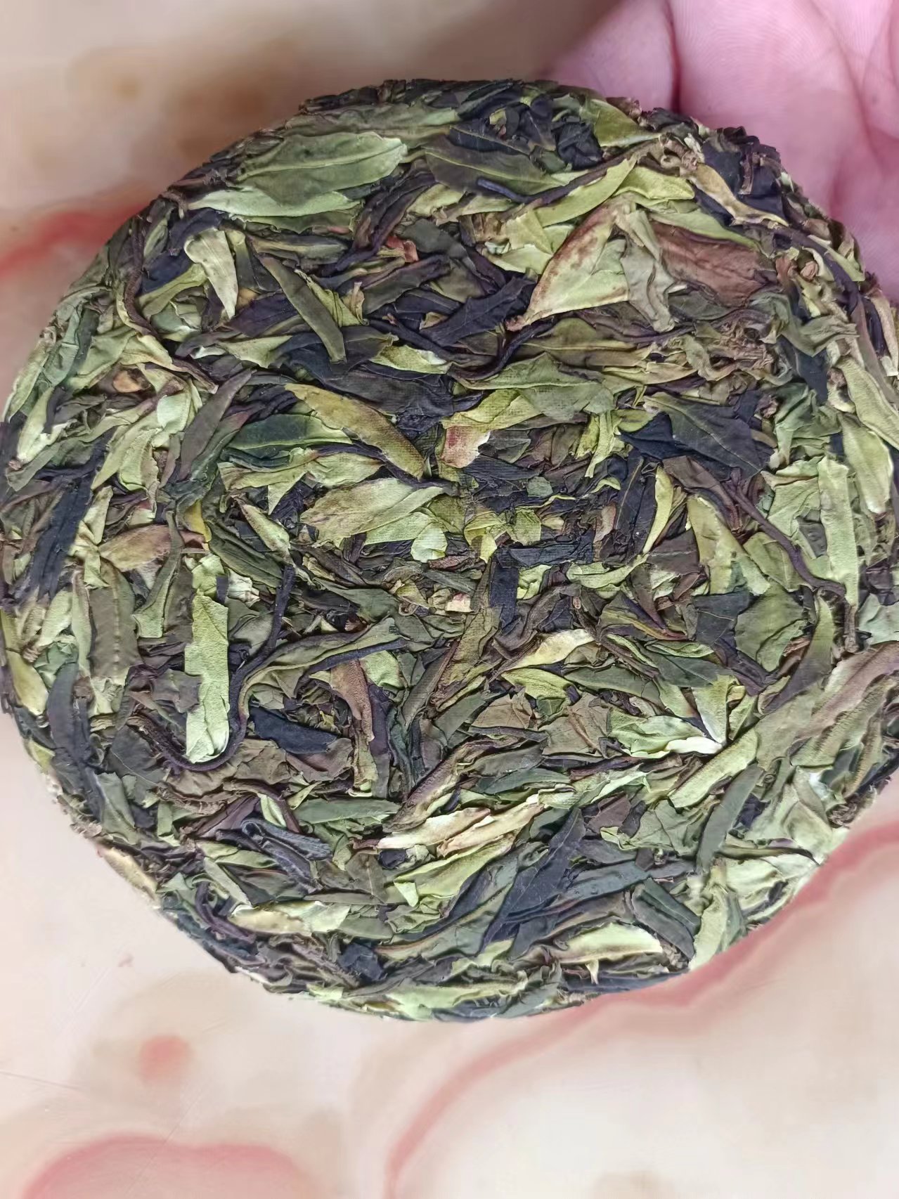 【野生白茶】2025年野生古树白茶饼100g/饼（拍五发六）