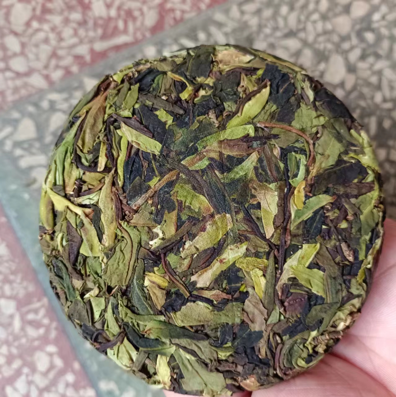 【燕子尾-千年野生古树白茶】2025年古树白茶饼100g/饼（拍五发六）