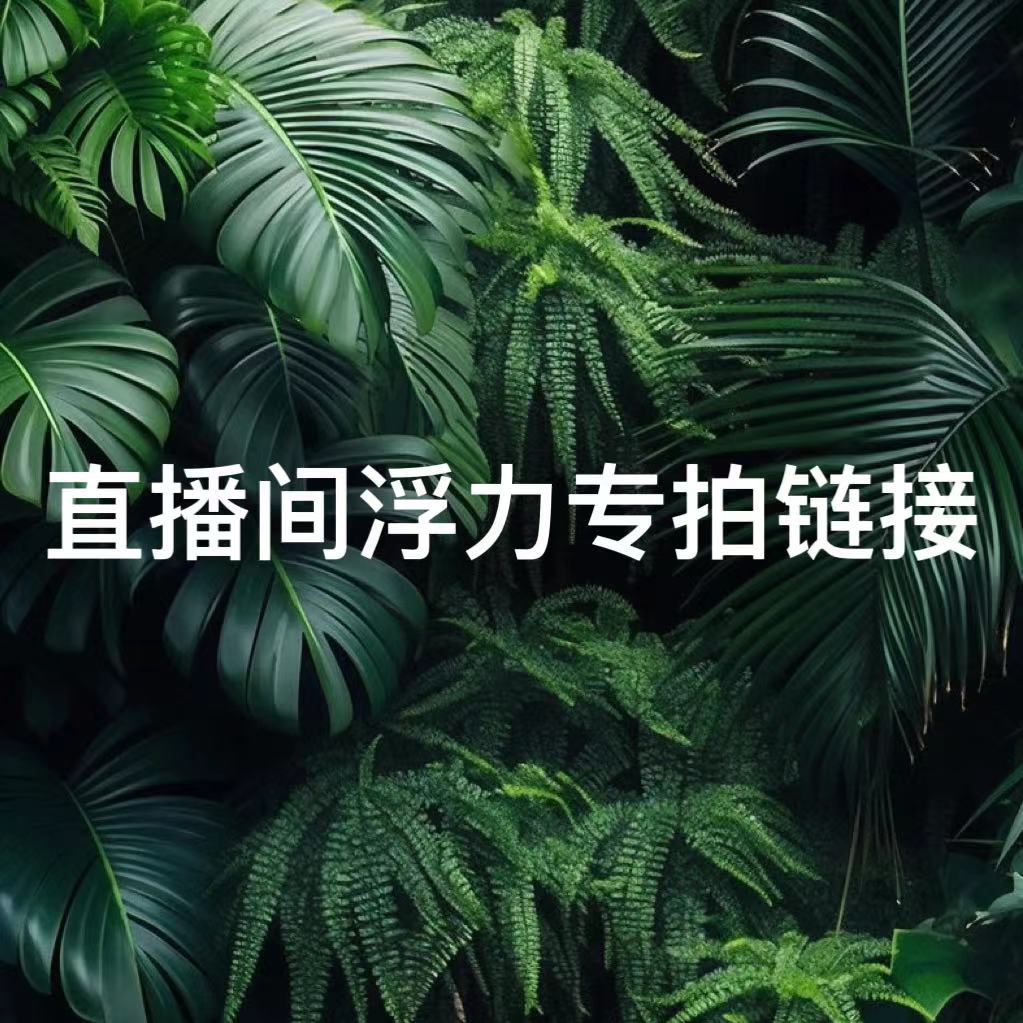 直播间浮力专拍链接  一物一拍大型室内绿植网红造型绿植盆栽拍照