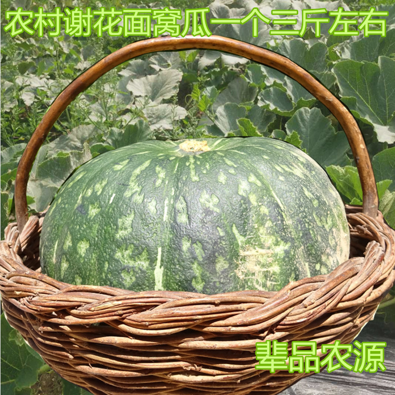 东北特产农家肥面瓜谢花面窝瓜南瓜现摘发货2斤半3斤半一个包邮