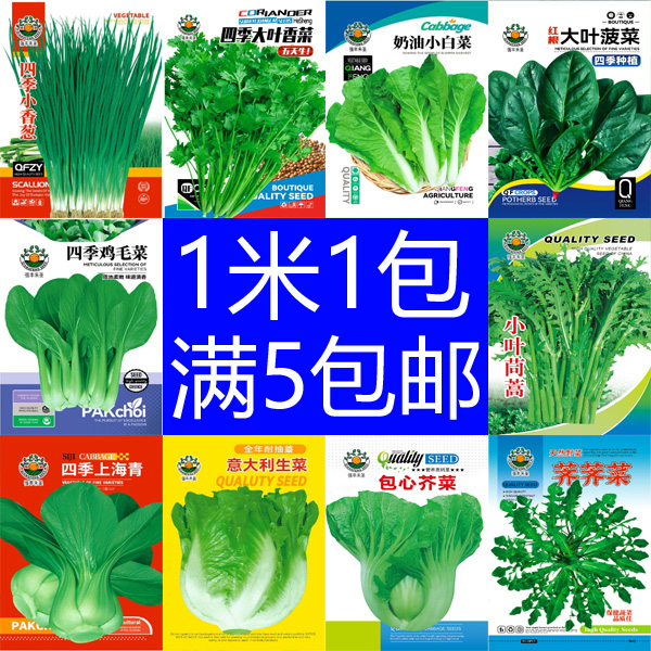 【1米1包 满五包邮】蔬菜种子四季播盆栽阳台庭院香菜辣椒番茄黄瓜