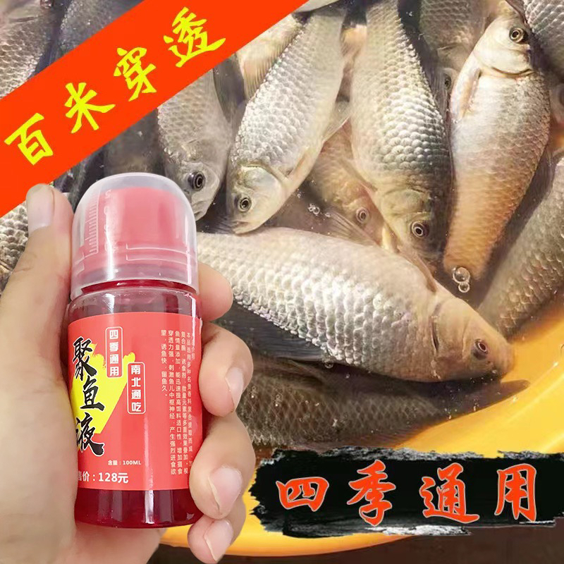 聚鱼液 BOTT 浓缩鱼饵添加剂