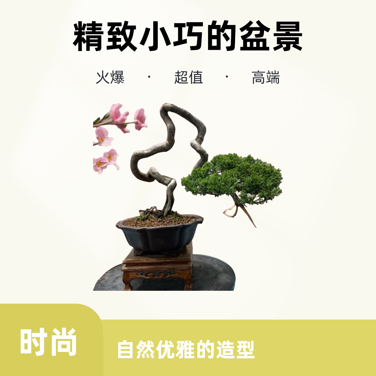 文人怪桩真柏老桩