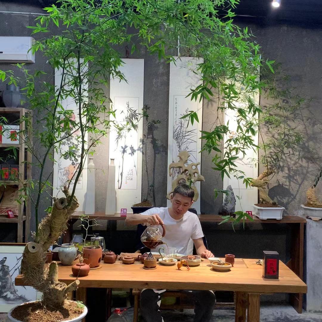 直播间一物一拍 海岛春花