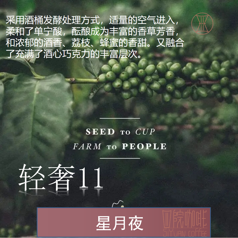 轻奢11 星月夜 洪都拉斯 浅度 酒桶发酵 咖啡豆 100g