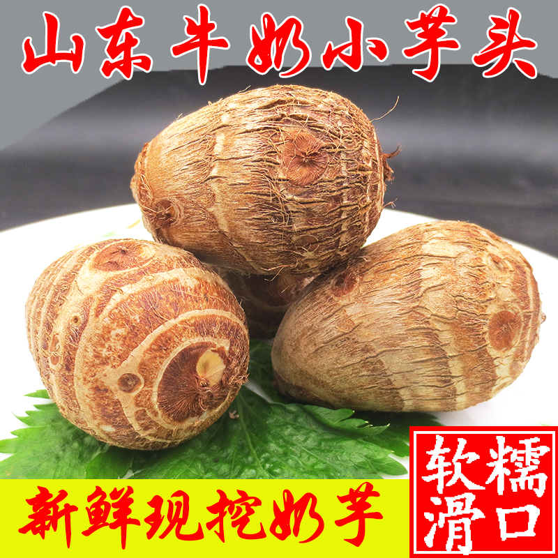 芋头牛奶芋头山东小芋头新鲜香芋艿毛芋头软糯滑口芋圆现挖蔬菜