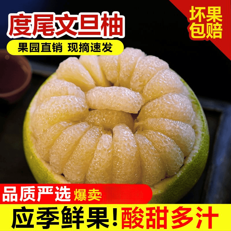 【尝鲜Plus】正宗仙游度尾文旦柚新鲜现摘红心蜜柚酸甜应季孕妇水果