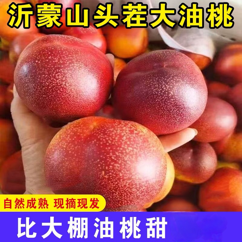 山东满天星麻点黄油桃5斤装～脆甜爽口软吃香甜爆汁桃味浓郁