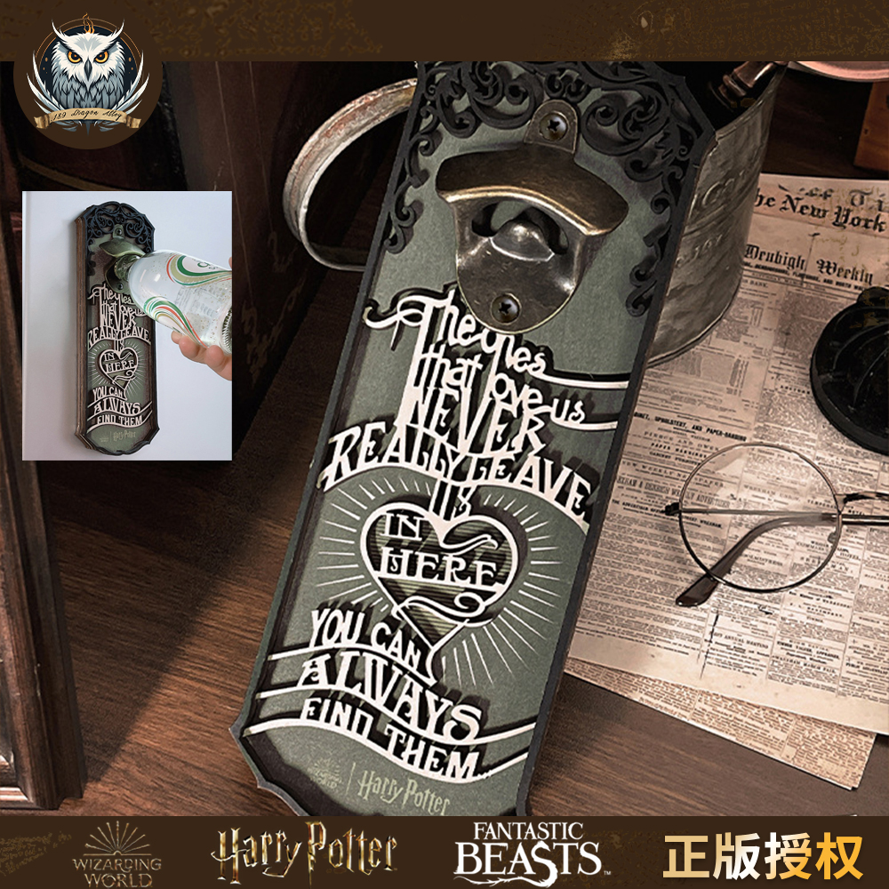 冰箱贴·小天狼星寄语正版哈利波特冰箱贴立体造型磁吸木质开瓶器