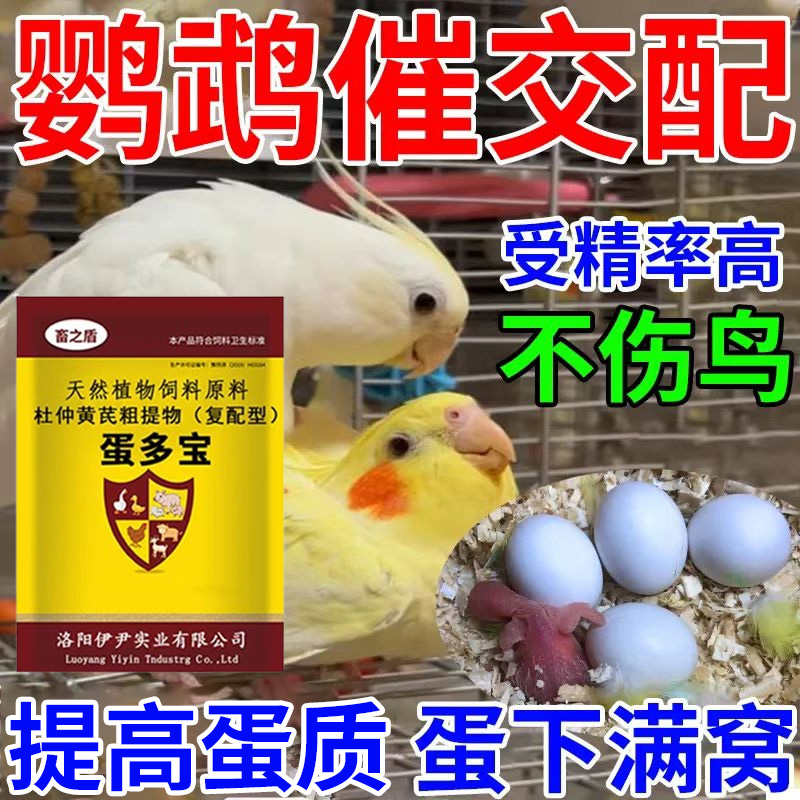 鹦鹉下蛋饲料催蛋促蛋补充营养踩背下蛋料交配鸟食提高蛋质受精率