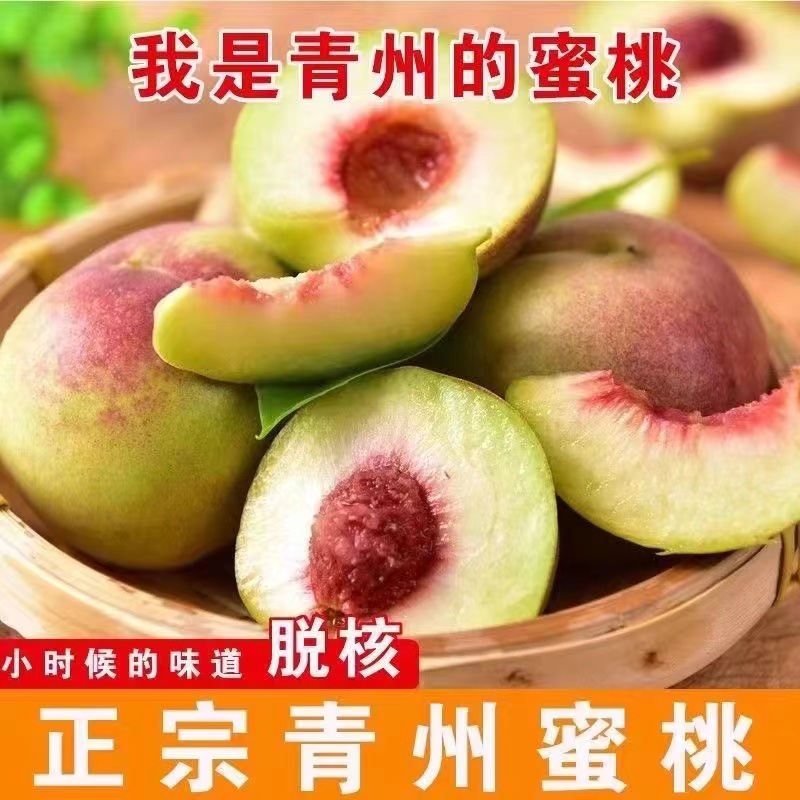 桃子脆桃毛桃清甜蜜桃5斤3斤装山桃秋桃香甜爽口正宗青州蜜桃水果