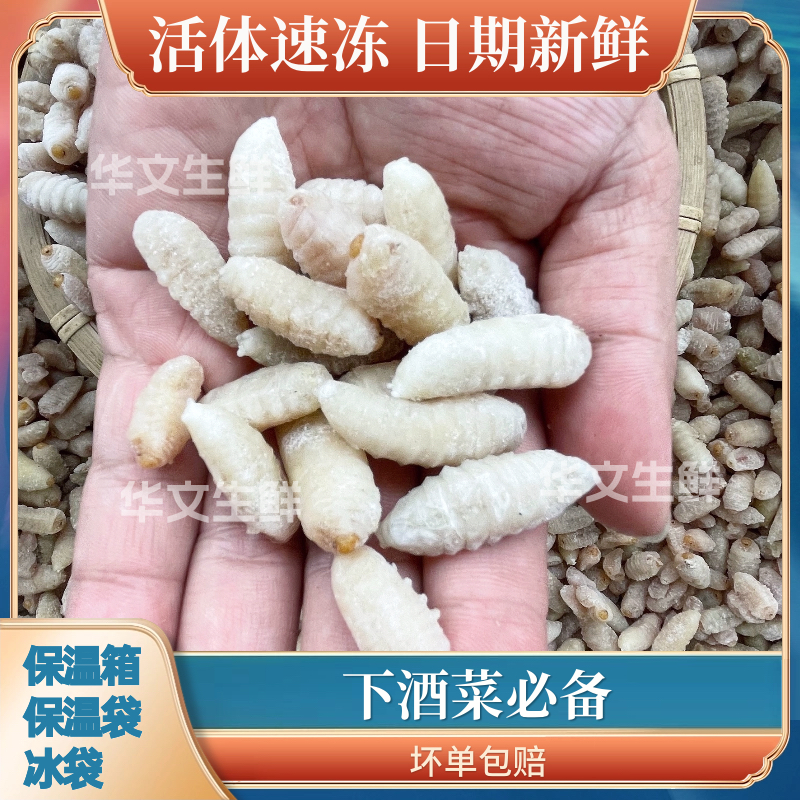 虎头蜂野生3级蜂蛹天然新鲜马蜂蛹活体干油炸即吃营养泡酒500g