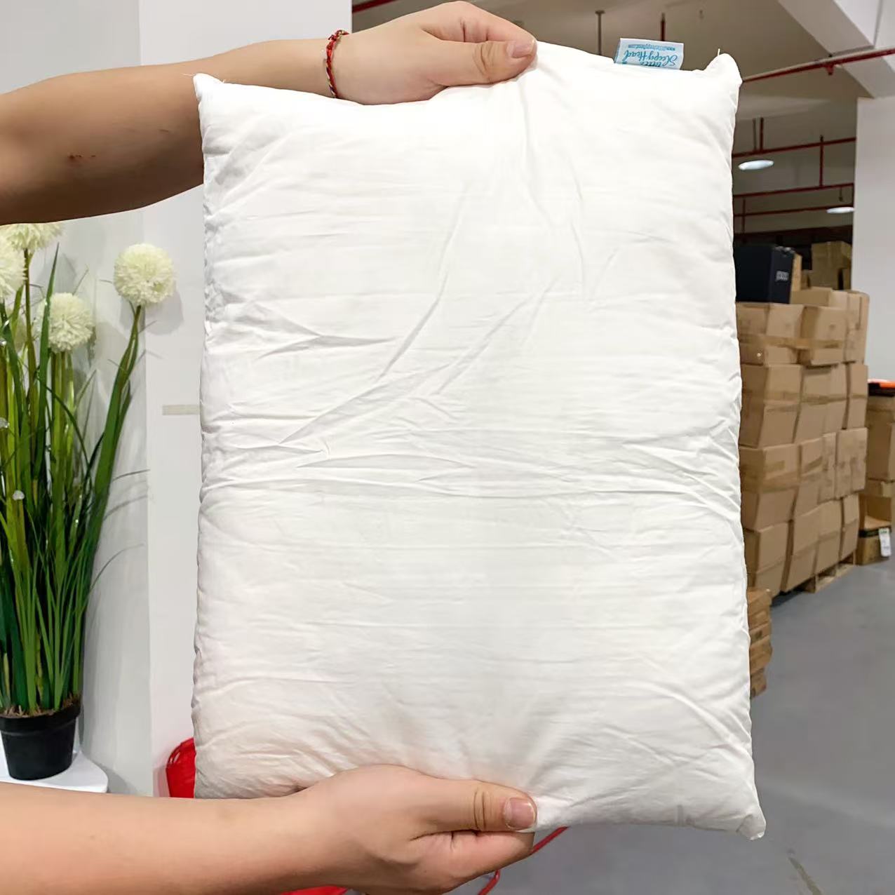 新款枕头 [发一]