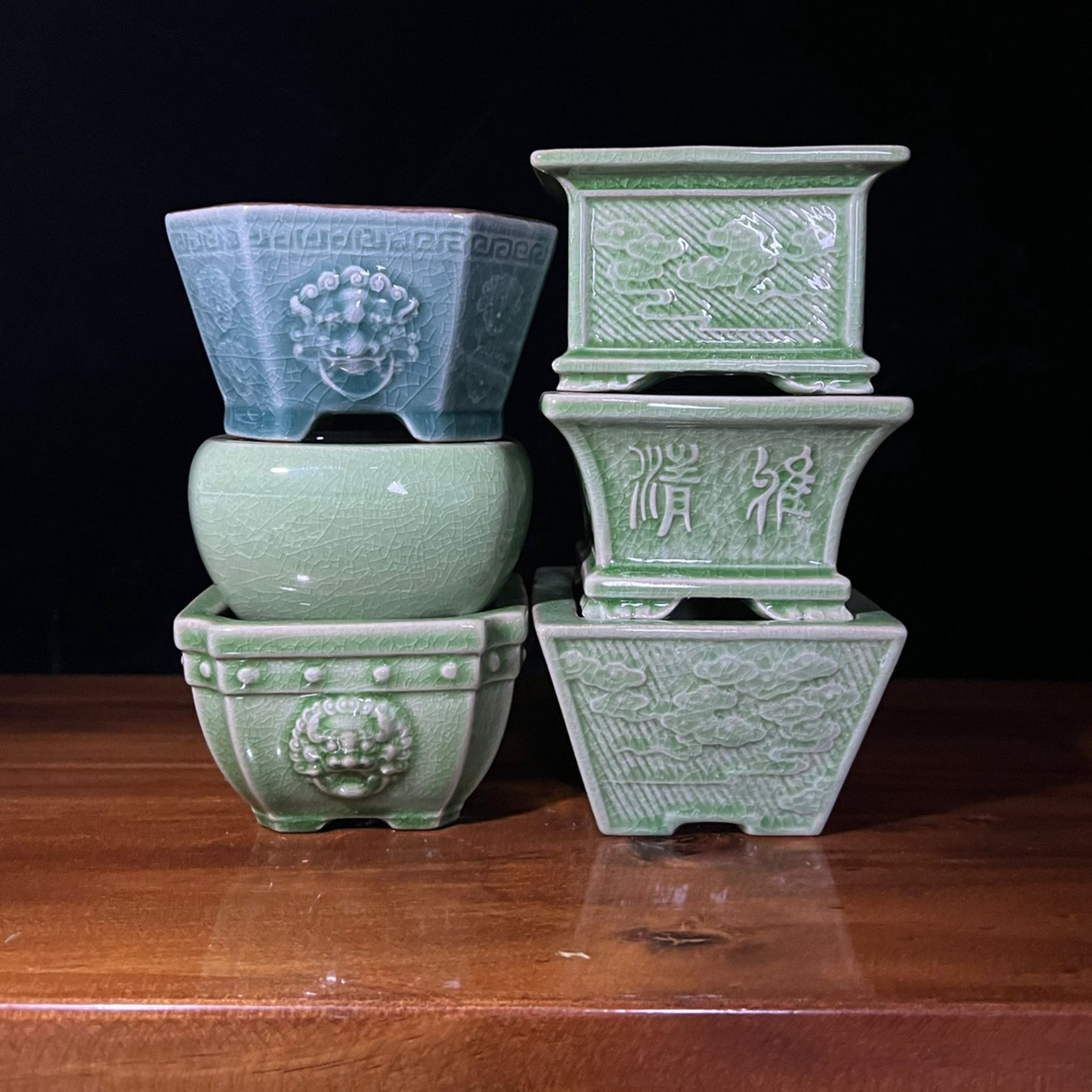 陶瓷创意掌中宝绿植造景盆到手六件套9*6cm