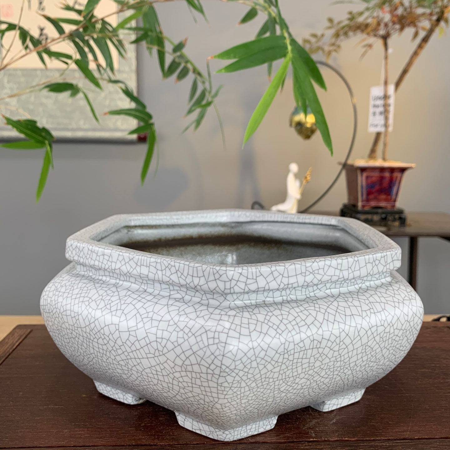 陶瓷创意六方形花盆绿植造景盆口20高9.5cm