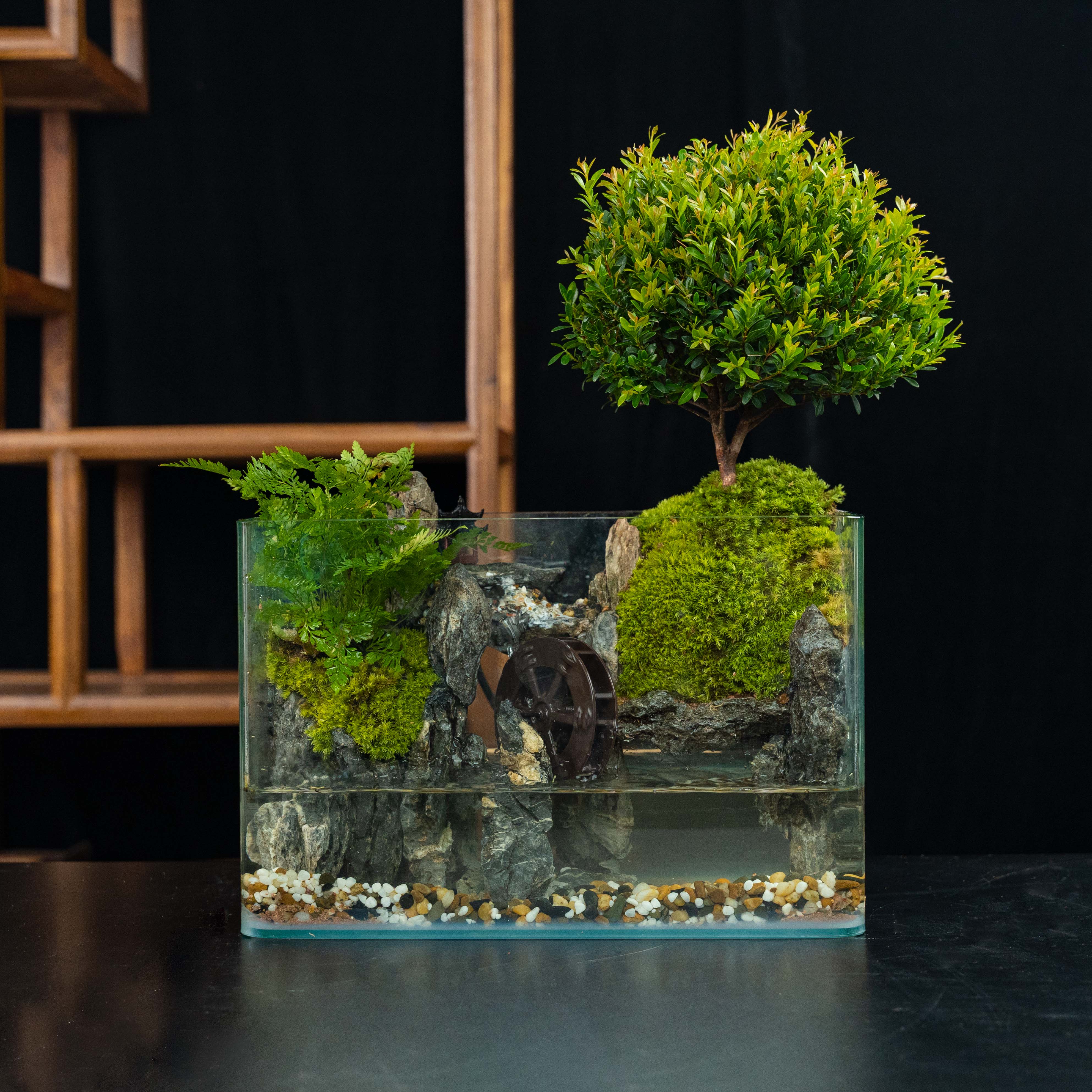 [無野]野居-小叶赤楠景观尺寸长30宽25高25厘米成品桌面绿植