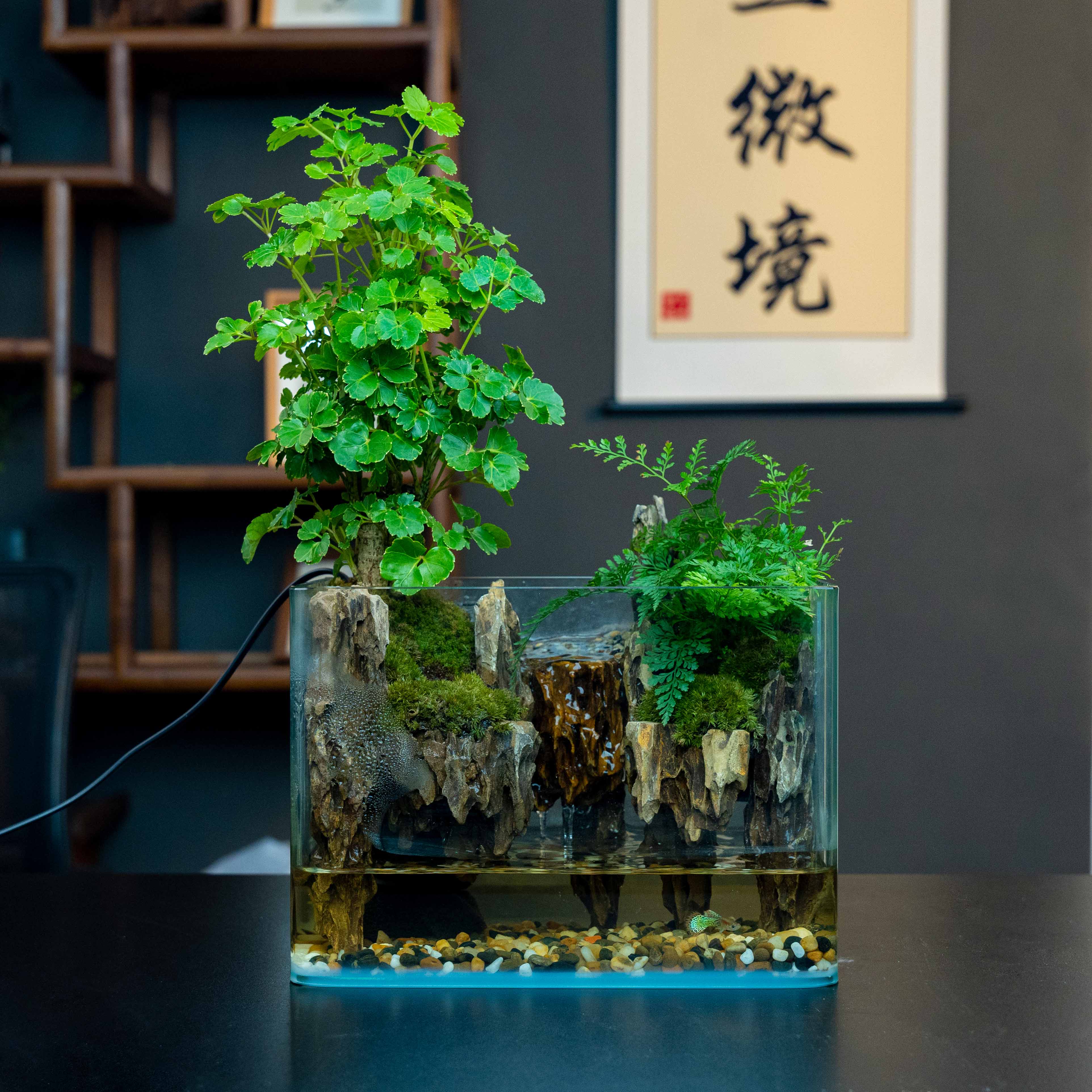 【三七】福禄-流水景观尺寸长25宽16高18厘米成品创意桌面绿植