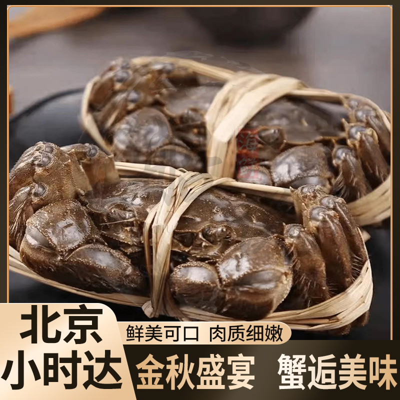 鲜活大闸蟹/母蟹10只装 单只1.8-2两（死蟹空蟹包售后）