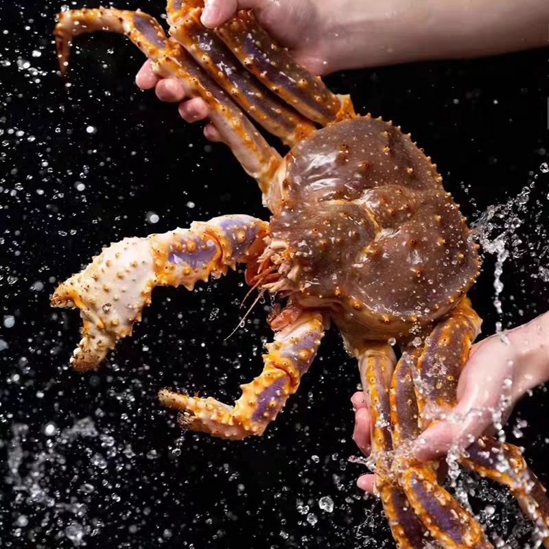 鲜活 帝王蟹 约3-3.5斤/只