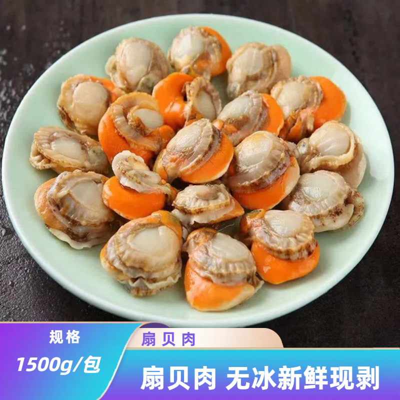 深海超大个扇贝肉新鲜现剥去壳 净重三斤2030规格 连云港冷链顺丰