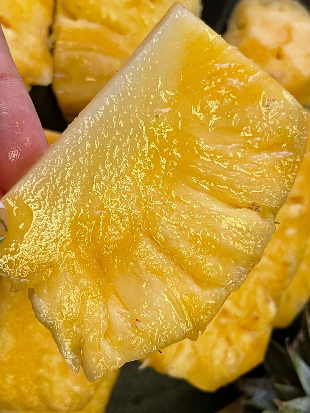 【海南直发】树上熟芒果凤梨鲜甜多汁自带芒果香香甜可口5斤装中通